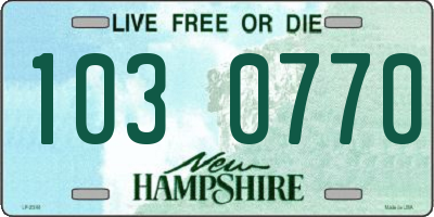 NH license plate 1030770