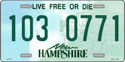 NH license plate 1030771