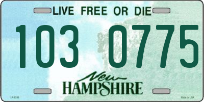 NH license plate 1030775
