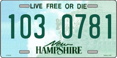 NH license plate 1030781