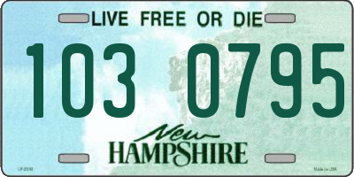 NH license plate 1030795
