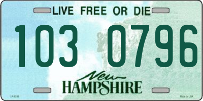 NH license plate 1030796