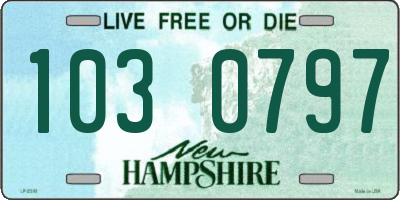 NH license plate 1030797