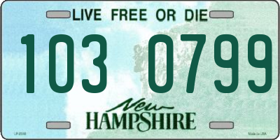 NH license plate 1030799