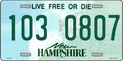 NH license plate 1030807