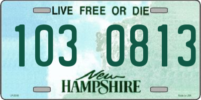 NH license plate 1030813