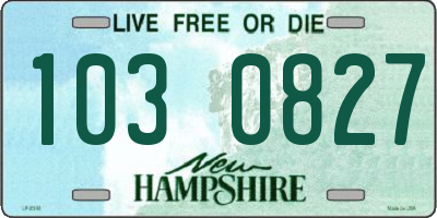 NH license plate 1030827