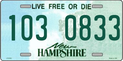 NH license plate 1030833