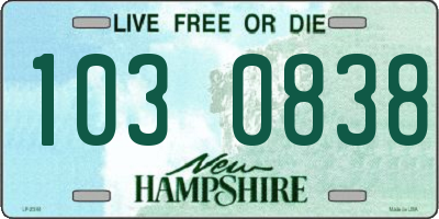 NH license plate 1030838