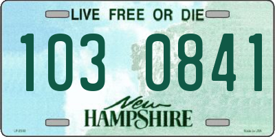 NH license plate 1030841