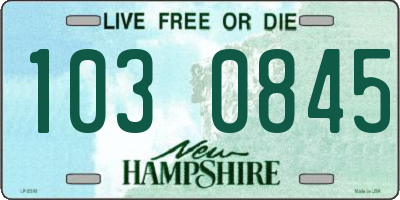 NH license plate 1030845