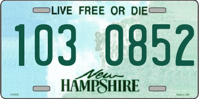 NH license plate 1030852