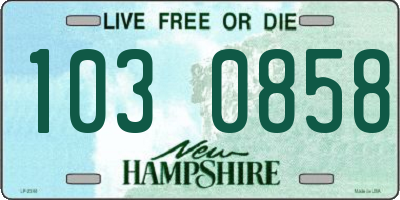 NH license plate 1030858