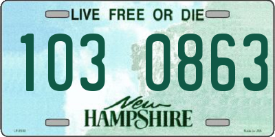 NH license plate 1030863