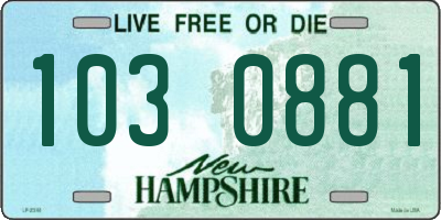 NH license plate 1030881