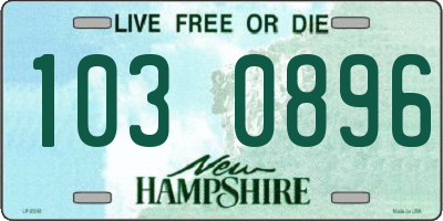 NH license plate 1030896