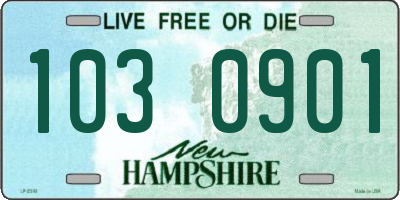 NH license plate 1030901