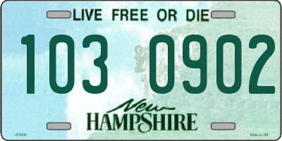 NH license plate 1030902