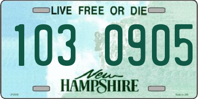 NH license plate 1030905