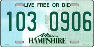 NH license plate 1030906
