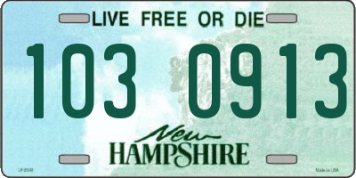 NH license plate 1030913