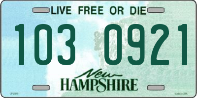 NH license plate 1030921