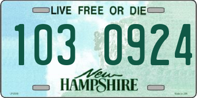 NH license plate 1030924