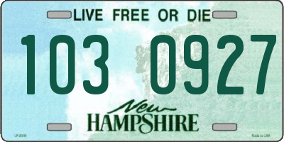 NH license plate 1030927