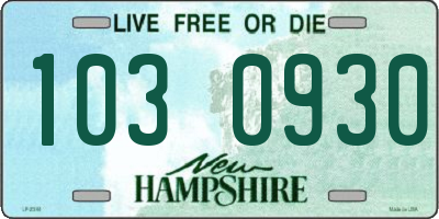 NH license plate 1030930