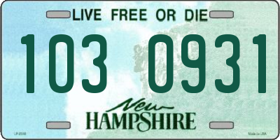 NH license plate 1030931
