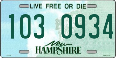NH license plate 1030934