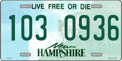 NH license plate 1030936