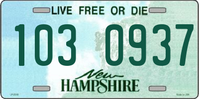 NH license plate 1030937