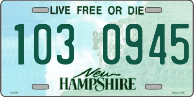 NH license plate 1030945