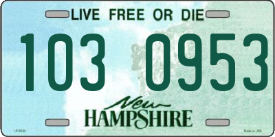 NH license plate 1030953
