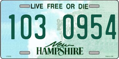 NH license plate 1030954
