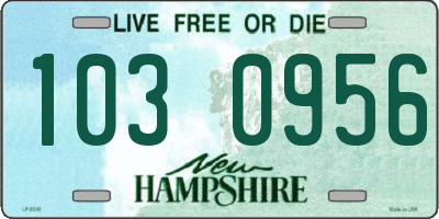 NH license plate 1030956