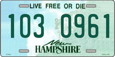 NH license plate 1030961