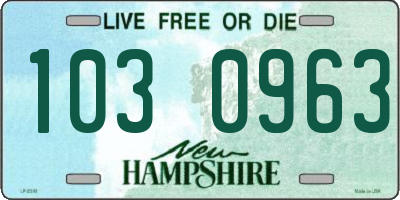 NH license plate 1030963
