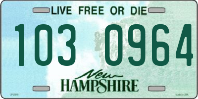 NH license plate 1030964