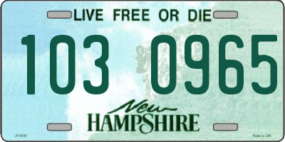 NH license plate 1030965