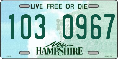 NH license plate 1030967