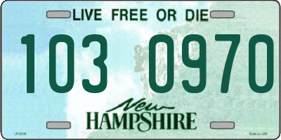 NH license plate 1030970