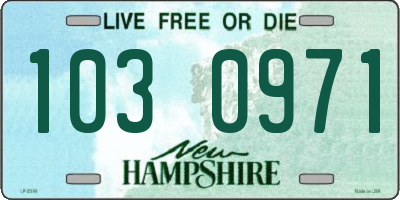 NH license plate 1030971