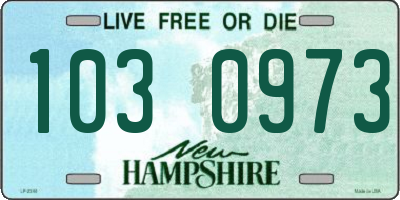 NH license plate 1030973