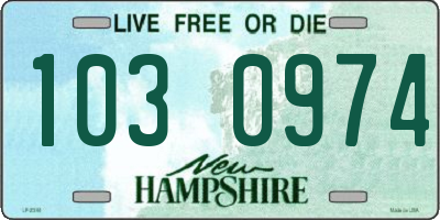 NH license plate 1030974