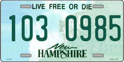 NH license plate 1030985