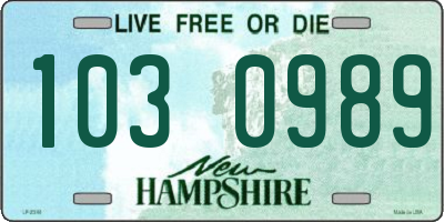 NH license plate 1030989