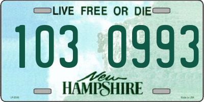 NH license plate 1030993