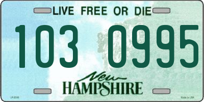 NH license plate 1030995